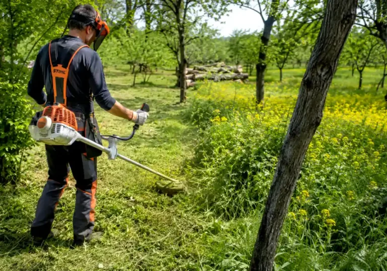 Débroussaillage obligatoire : que faut-il réellement faire dans les 50 mètres autour de sa maison ?
