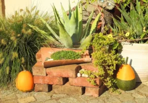 Intérieur décoré pour l’automne avec objets décoratifs aux tons chauds et ambiance cosy